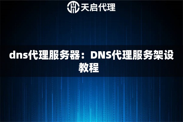 dns代理服务器：DNS代理服务架设教程  