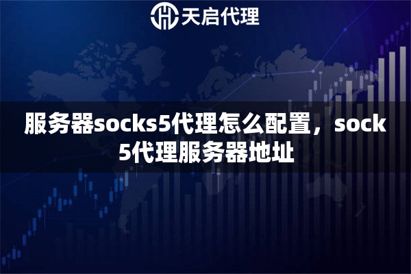 服务器socks5代理怎么配置，sock5代理服务器地址