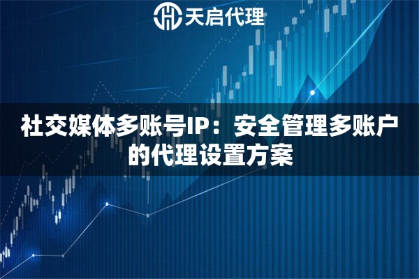 社交媒体多账号IP：安全管理多账户的代理设置方案