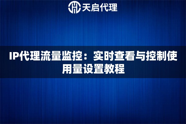 IP代理流量监控：实时查看与控制使用量设置教程