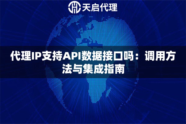 代理IP支持API数据接口吗：调用方法与集成指南