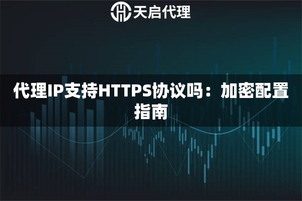 代理IP支持HTTPS协议吗:加密配置指南 代理IP支持HTTPS协议吗:加密配置指南