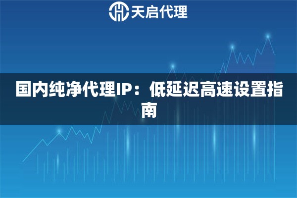 国内纯净代理IP：低延迟高速设置指南