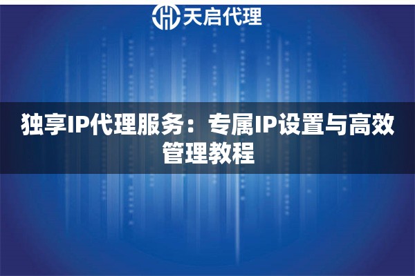 独享IP代理服务：专属IP设置与高效管理教程