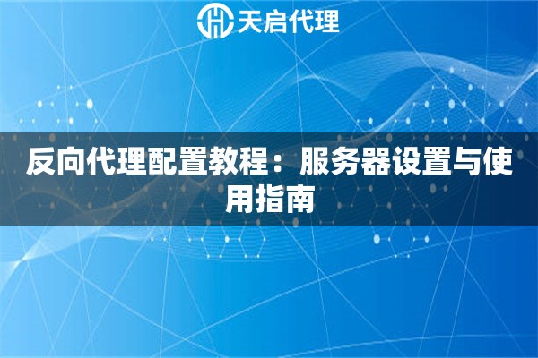 反向代理配置教程：服务器设置与使用指南