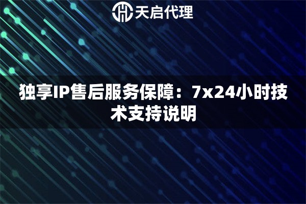 独享IP售后服务保障：7x24小时技术支持说明