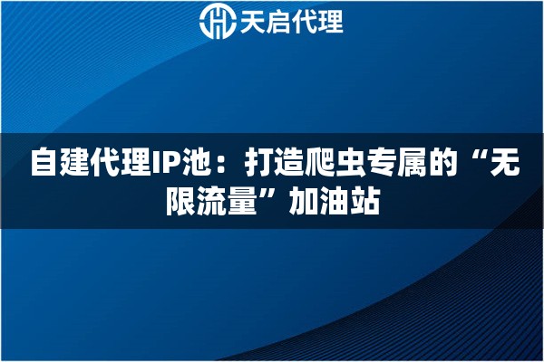 自建代理IP池:打造爬虫专属的“无限流量”加油站 自建代理IP池:打造爬虫专属的“无限流量”加油站