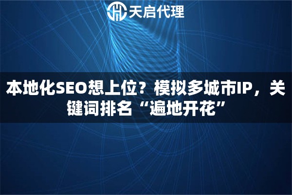 本地化SEO想上位？模拟多城市IP，关键词排名“遍地开花”