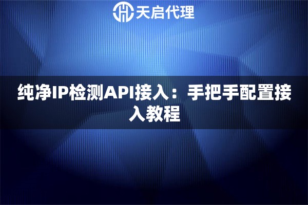 纯净IP检测API接入：手把手配置接入教程