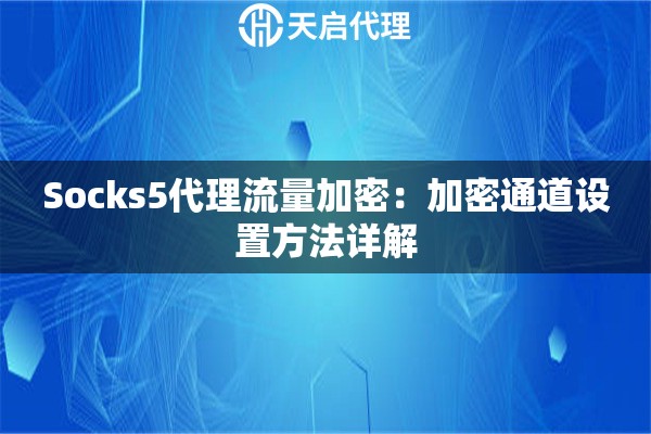 Socks5代理流量加密：加密通道设置方法详解