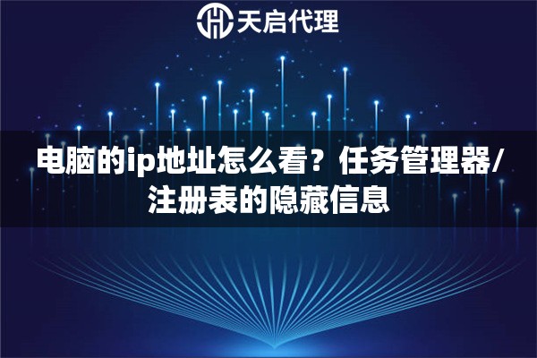 电脑的ip地址怎么看?任务管理器/注册表的隐藏信息 电脑的ip地址怎么看?任务管理器/注册表的隐藏信息