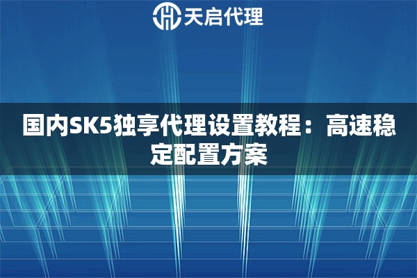 国内SK5独享代理设置教程：高速稳定配置方案