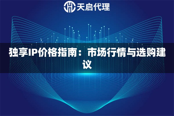 独享IP价格指南：市场行情与选购建议