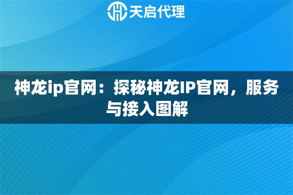 神龙ip官网：探秘神龙IP官网，服务与接入图解