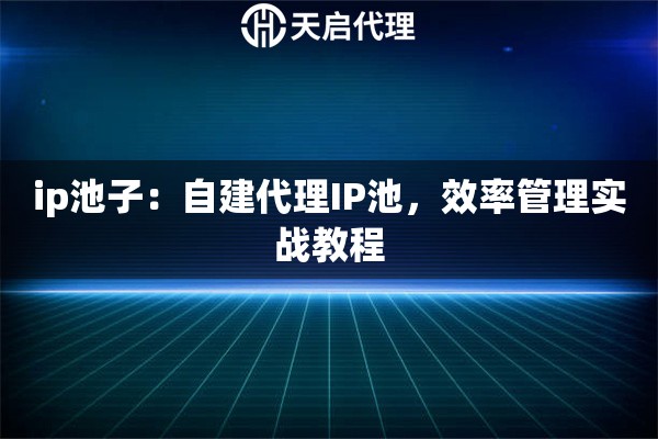 ip池子：自建代理IP池，效率管理实战教程