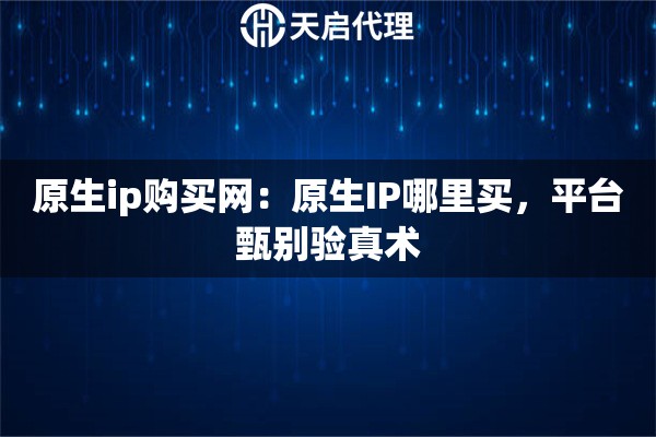 原生ip购买网：原生IP哪里买，平台甄别验真术