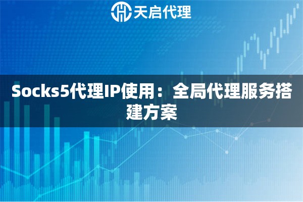 Socks5代理IP使用：全局代理服务搭建方案