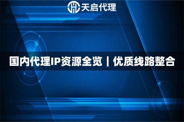 国内代理IP资源全览｜优质线路整合