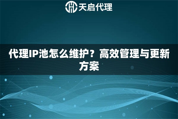 代理IP池怎么维护？高效管理与更新方案