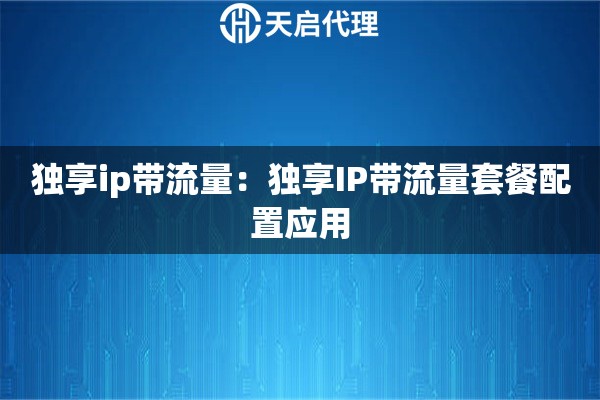 独享ip带流量：独享IP带流量套餐配置应用