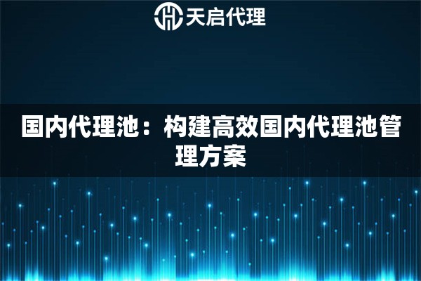 国内代理池：构建高效国内代理池管理方案