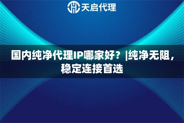 国内纯净代理IP哪家好？|纯净无阻，稳定连接首选