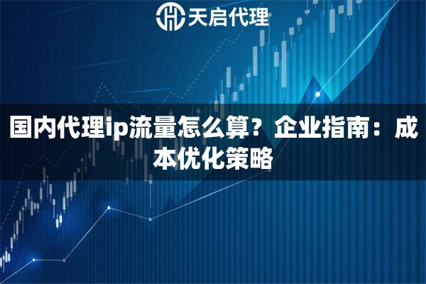 国内代理ip流量怎么算？企业指南：成本优化策略