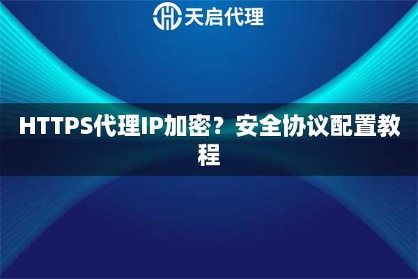 HTTPS代理IP加密？安全协议配置教程