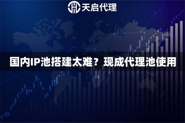 国内IP池搭建太难？现成代理池使用