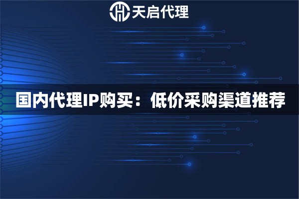 国内代理IP购买：低价采购渠道推荐