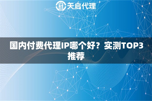 国内付费代理IP哪个好？实测TOP3推荐