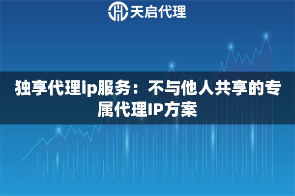独享代理ip服务：不与他人共享的专属代理IP方案