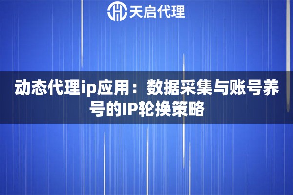 动态代理ip应用：数据采集与账号养号的IP轮换策略