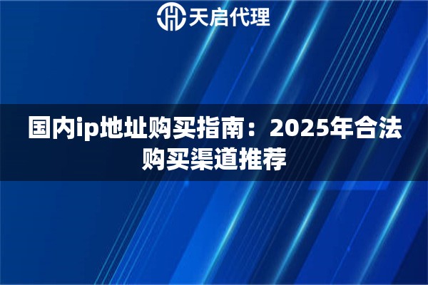 国内ip地址购买指南：2025年合法购买渠道推荐