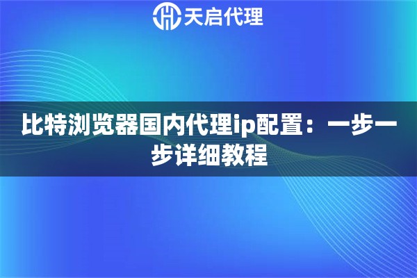 比特浏览器国内代理ip配置：一步一步详细教程