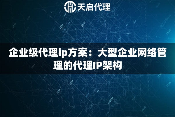 企业级代理ip方案：大型企业网络管理的代理IP架构