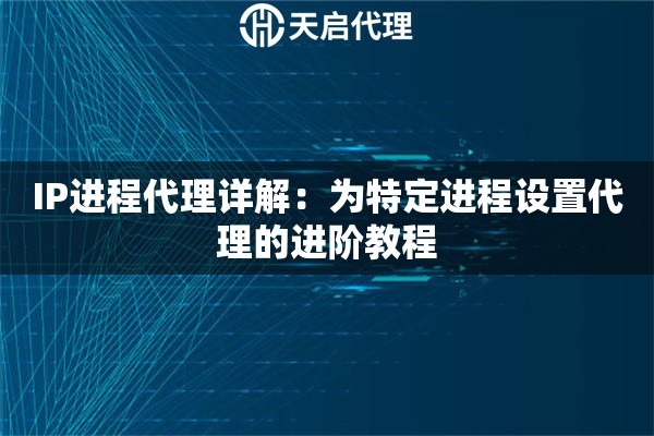 IP进程代理详解：为特定进程设置代理的进阶教程