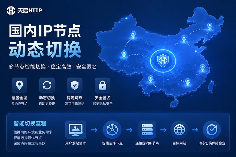 天启HTTP国内动态代理节点图