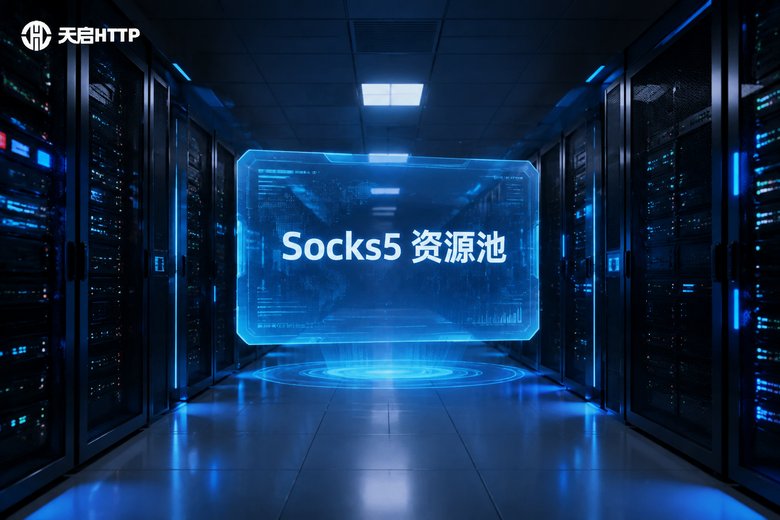国内Socks5代理IP资源池场景