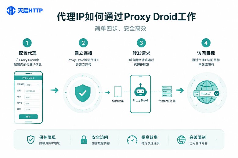 代理Droid使用流程