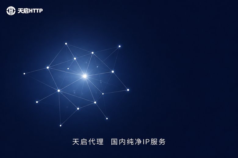 天启代理国内纯净IP服务品牌图