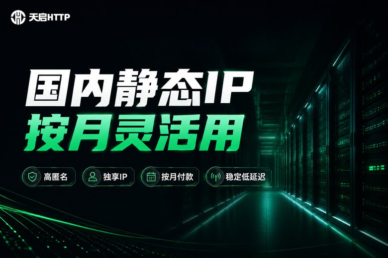 天启HTTP国内静态IP按月付费方案品牌图
