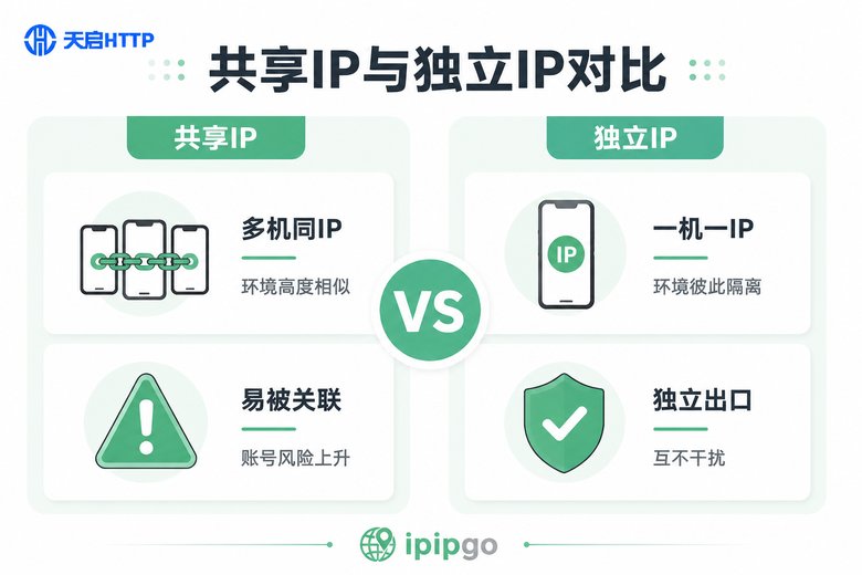 共享IP与独立IP的对比信息图
