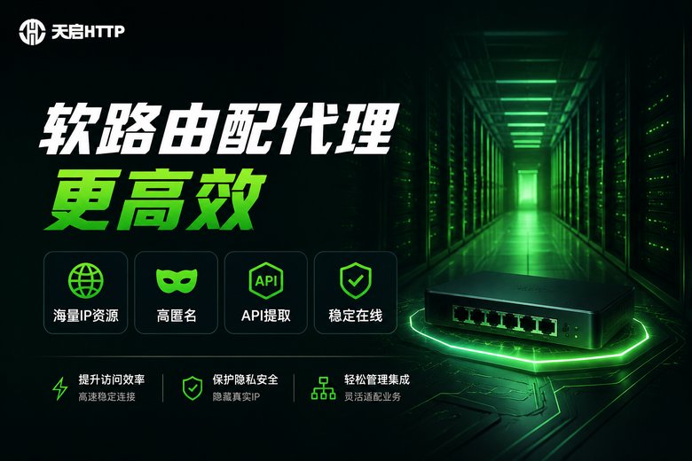 天启HTTP软路由代理方案
