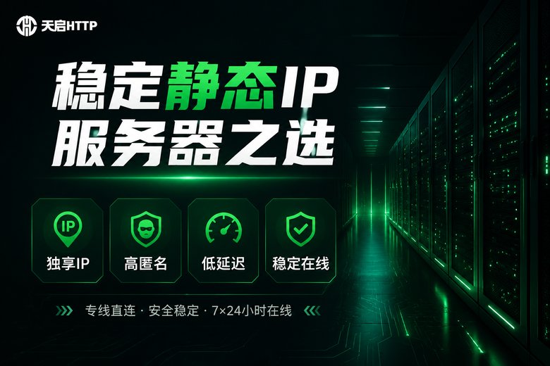 天启HTTP稳定静态IP服务品牌图