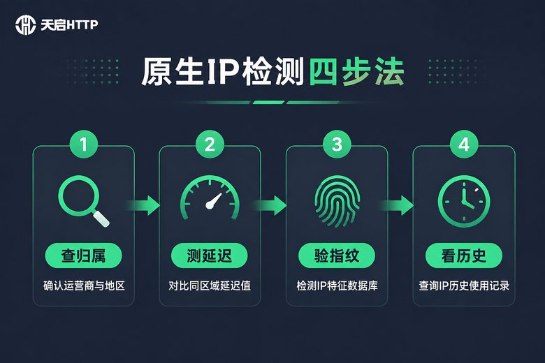 原生IP检测四步法流程信息图