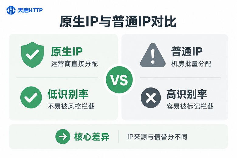 原生IP与普通IP的对比信息图