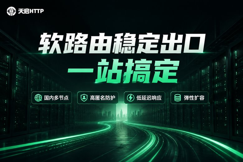 天启HTTP软路由代理IP服务