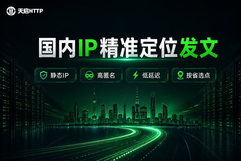 天启HTTP国内IP代理精准定位服务