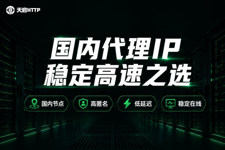天启HTTP国内代理IP服务